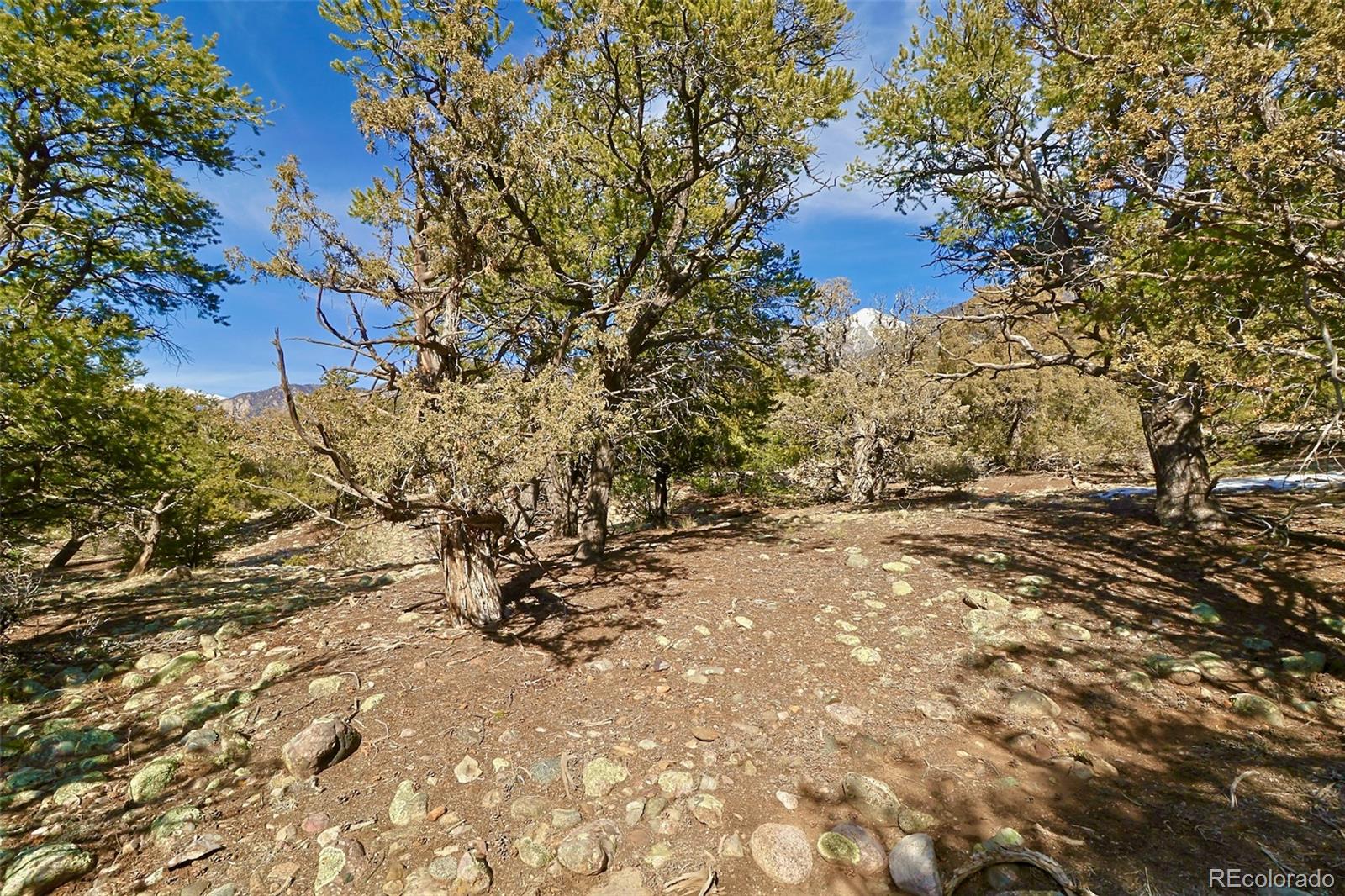 2130 Big Ranch Overlook