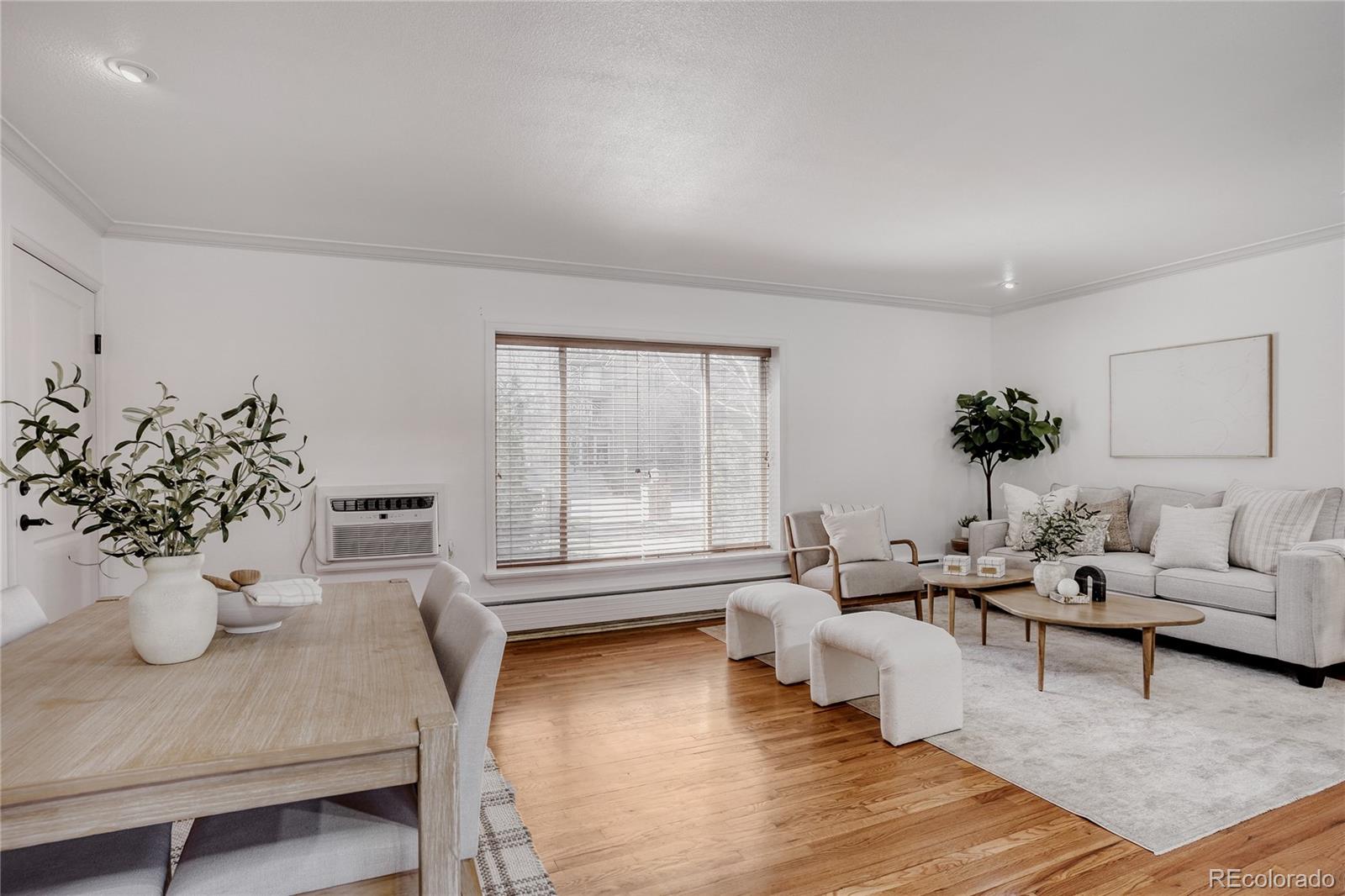 920 Eudora Street 102