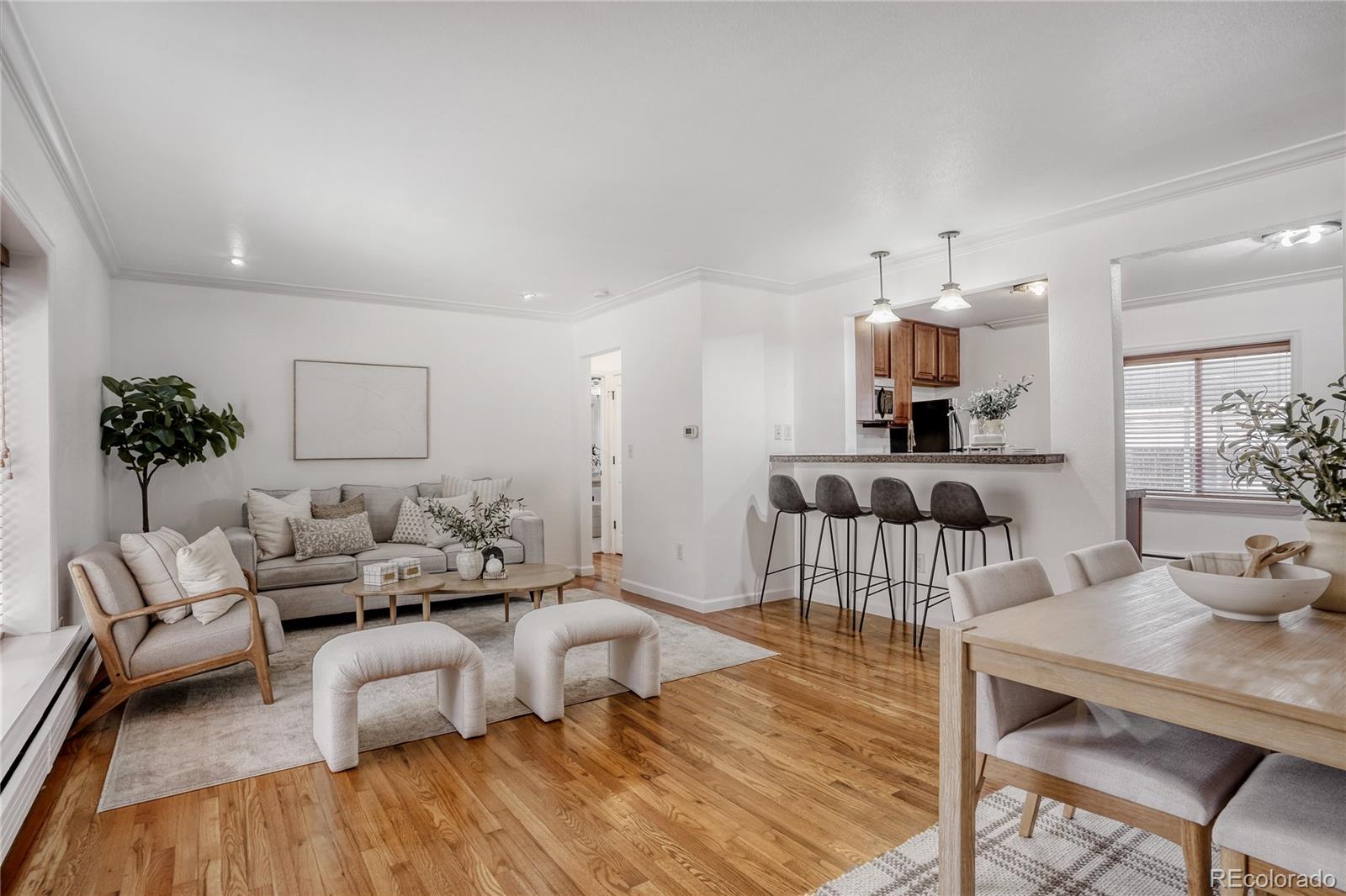 920 Eudora Street 102