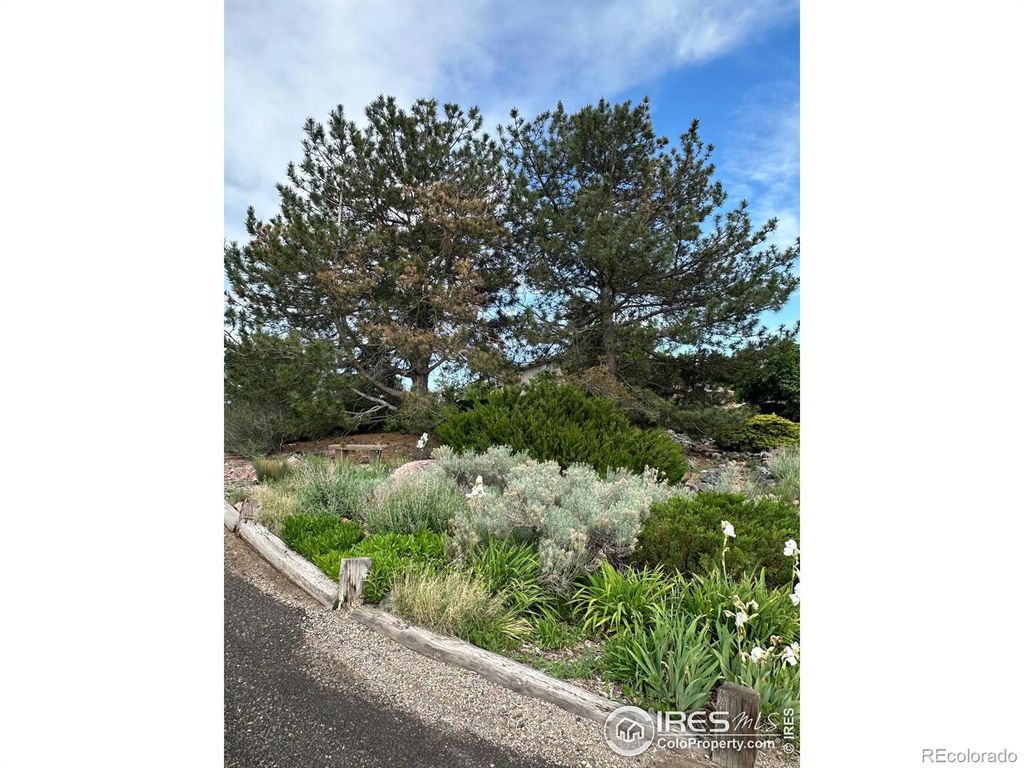 Photo of 13748 Downing Street, Brighton, CO 80602 (MLS # IR1038064)
