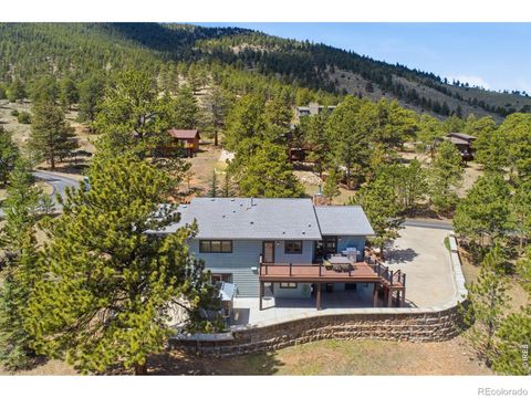 1075 Fall River Court Estes Park CO 80517