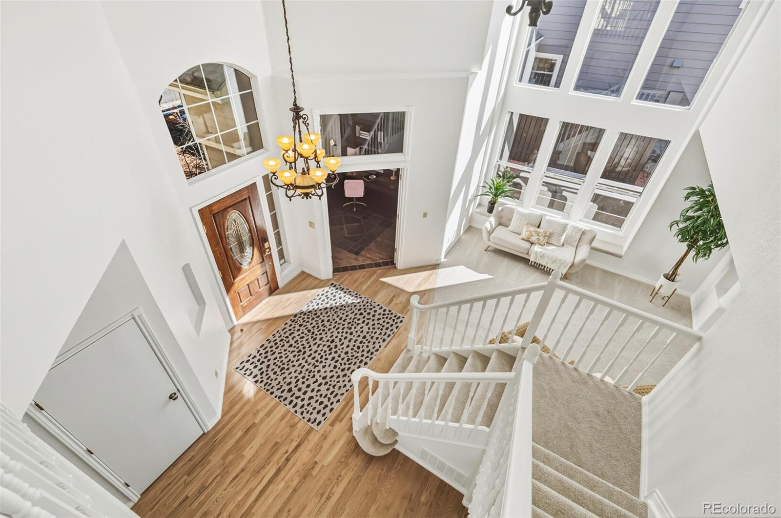 10275 Baneberry Place