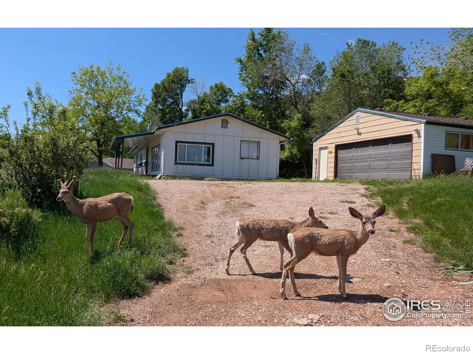 4809 Foothills Drive