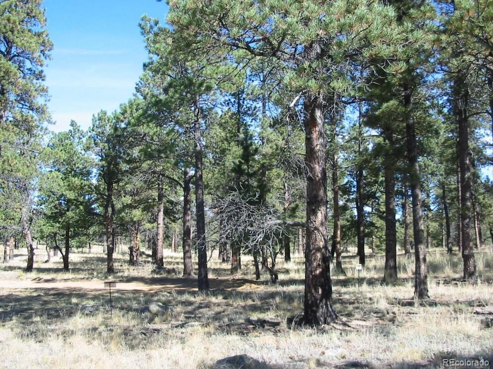 14794 Wetterhorn Peak Trail