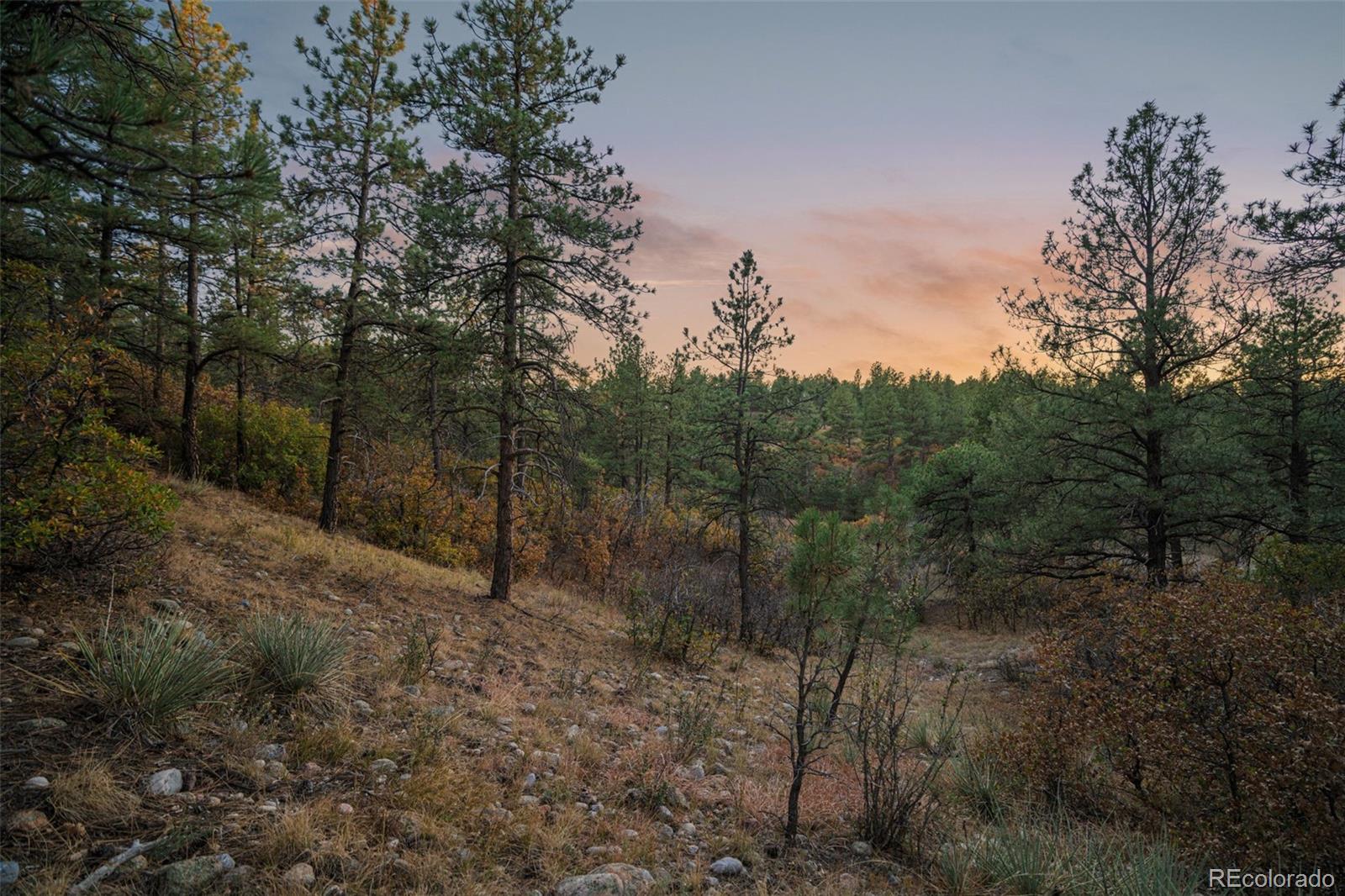 11011 Sunset Oaks Place