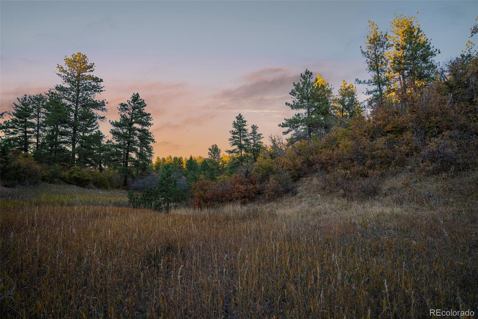 11011 Sunset Oaks Place