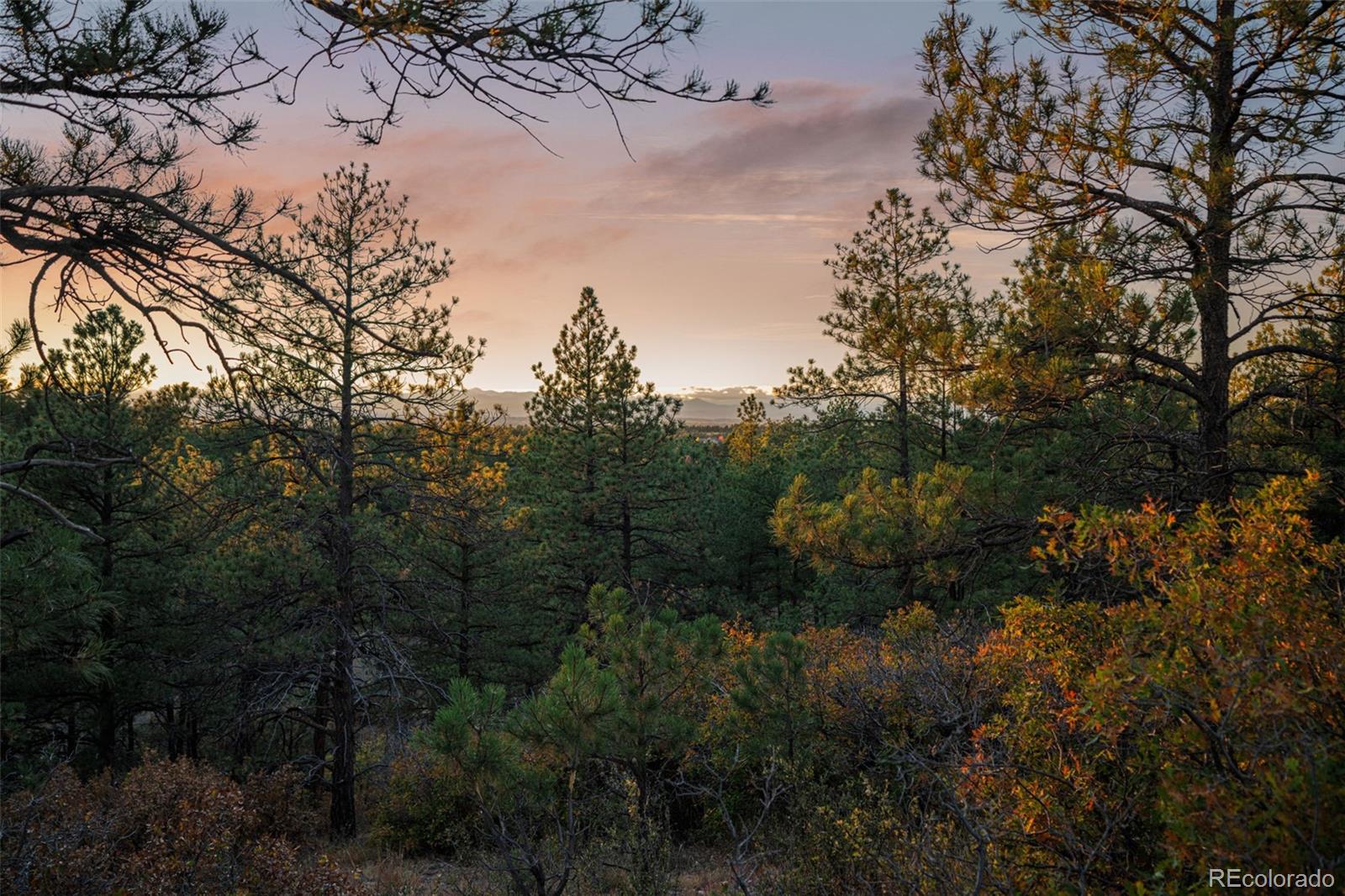 11011 Sunset Oaks Place