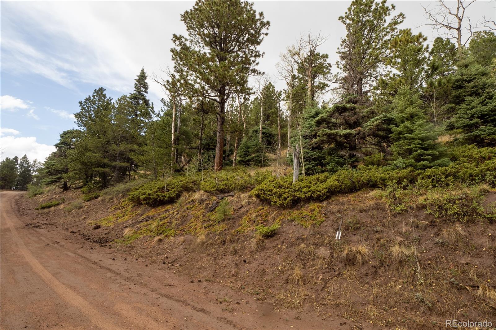 Lot 2797 Moir Drive