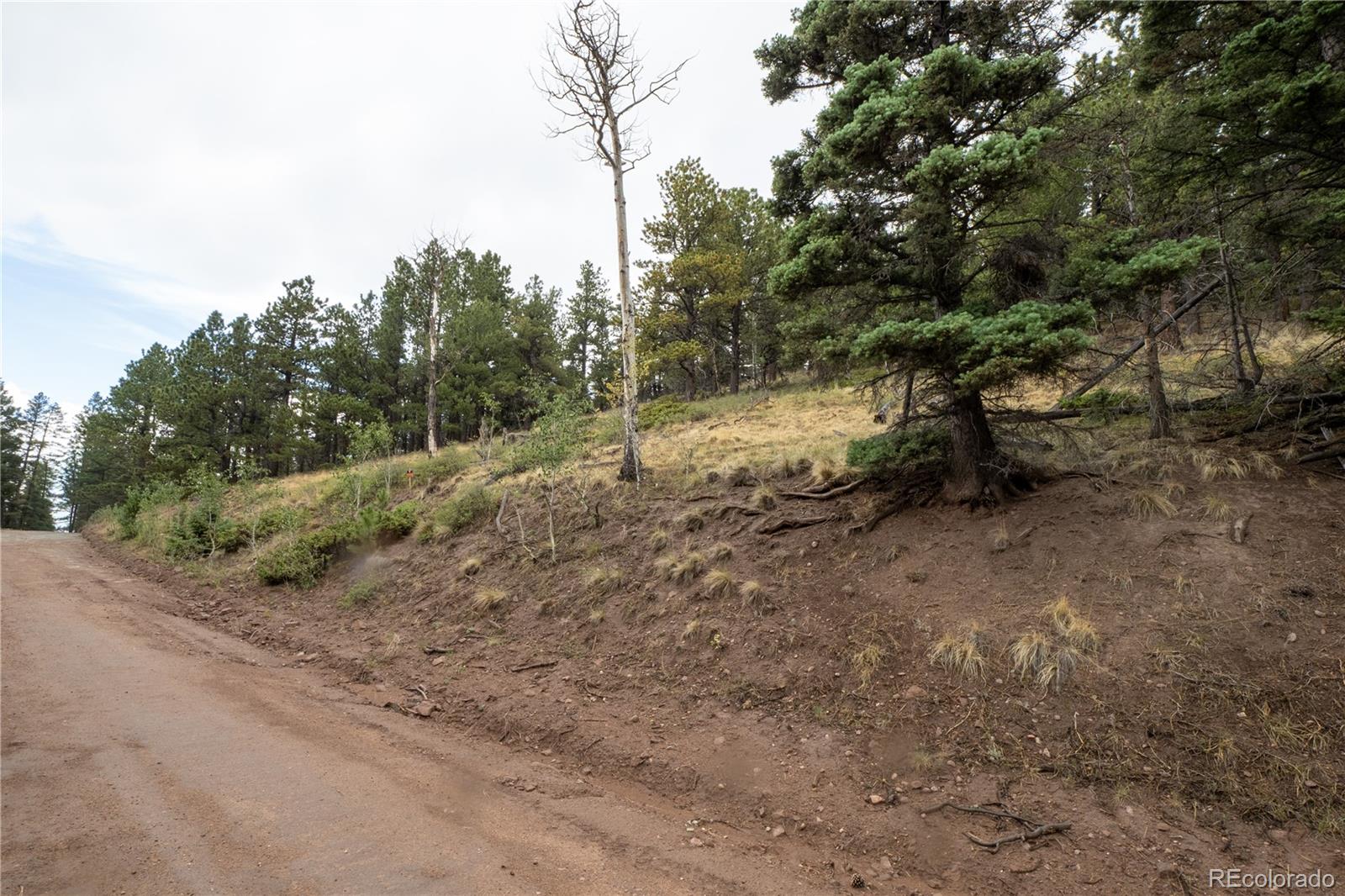 Lot 2797 Moir Drive