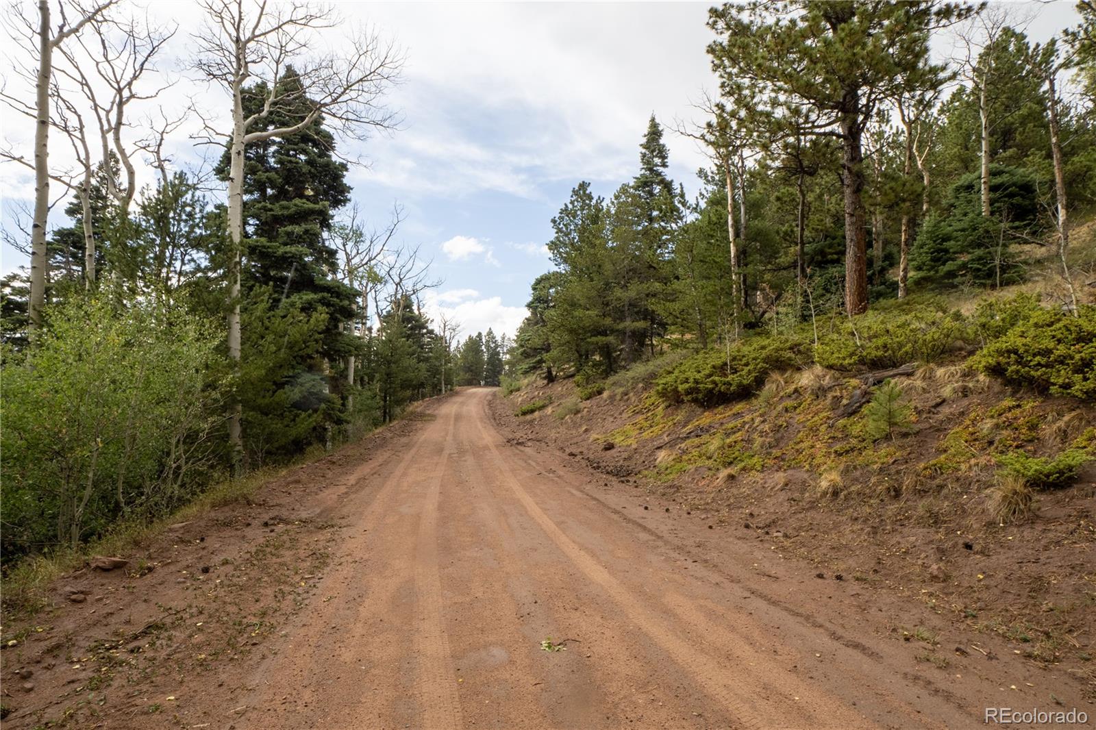 Lot 2797 Moir Drive