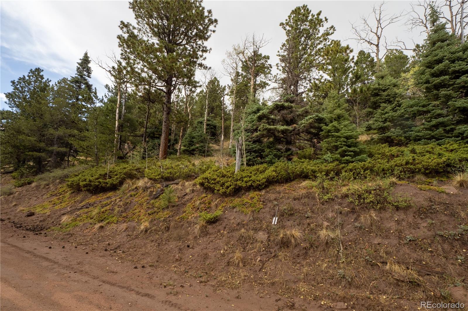 Lot 2797 Moir Drive
