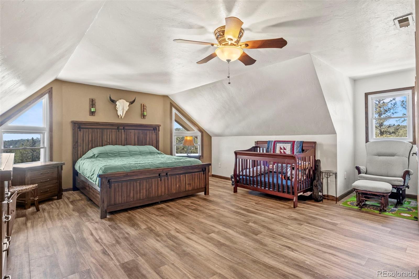 1738 Wildhorn Road, Florissant, CO, 80816 4 1738 Wildhorn Road