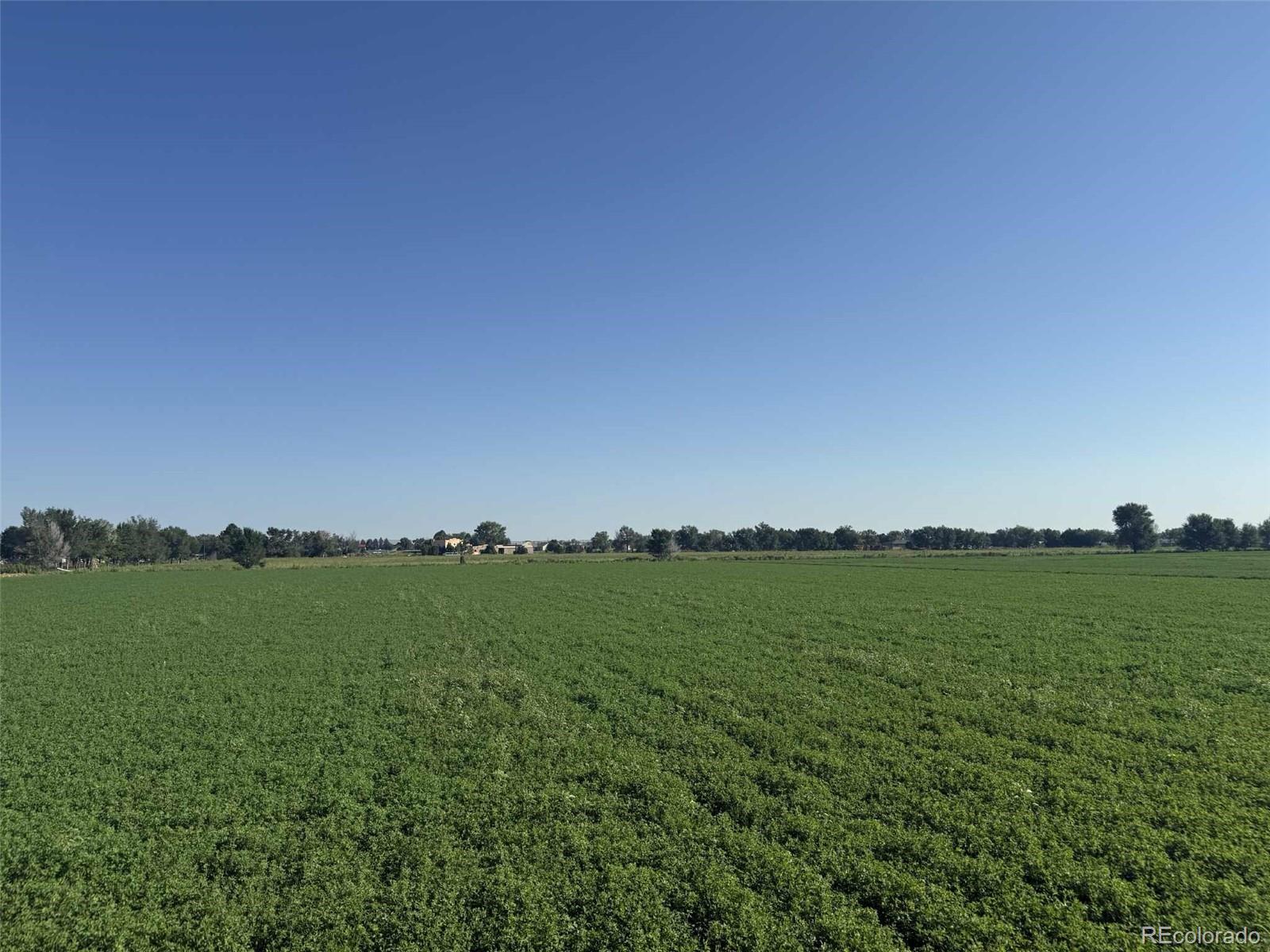 Lot C Manning Road