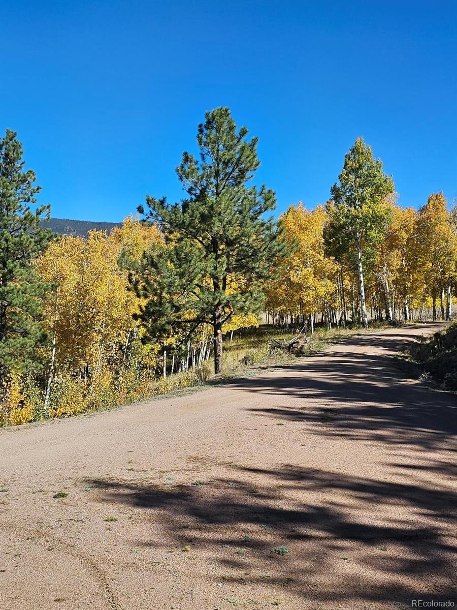 7275 Co-9, Guffey, CO, 80820 4 7275 Co-9
