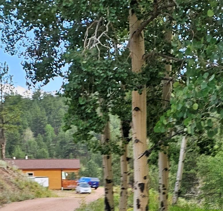 7275 Co-9, Guffey, CO, 80820 1 7275 Co-9