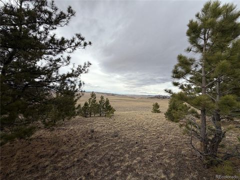 990 Coyotero Trail Hartsel CO 80449