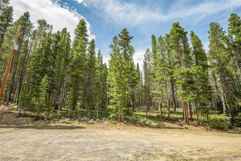 114 Elk Circle Idaho Springs CO 80452
