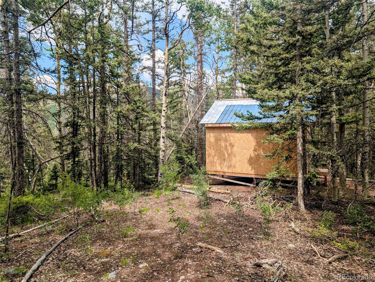 8.5 Acres Phillips Road