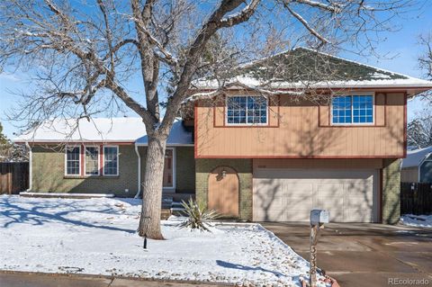 Photo of 3338 S Nucla Way, Aurora, CO 80013 (MLS # 6864228)