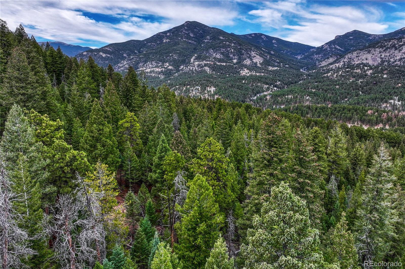 33864 Bergen View Trail