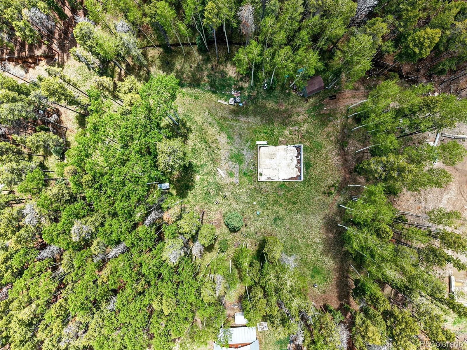 3 Ute Trail
