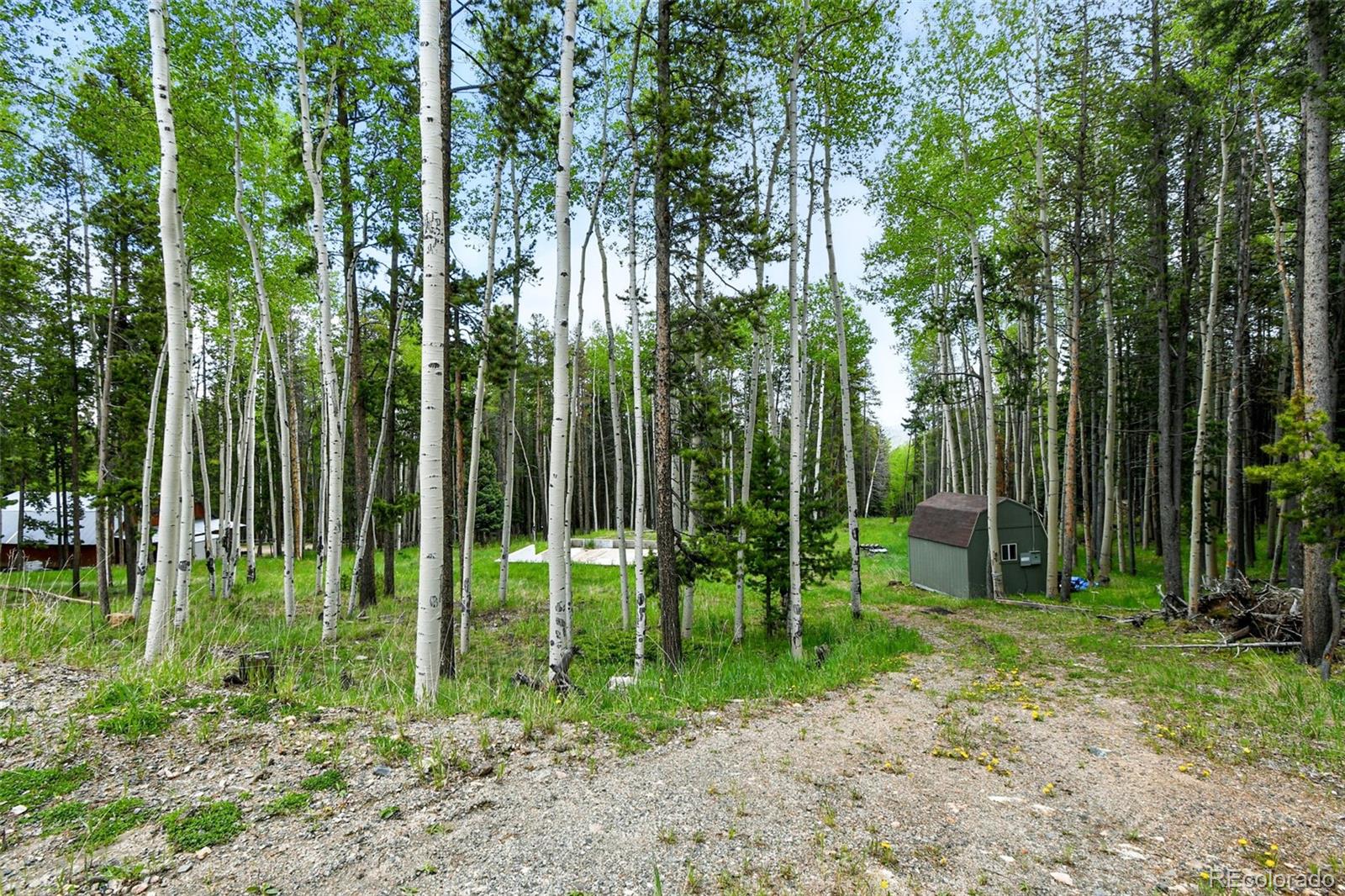 3 Ute Trail