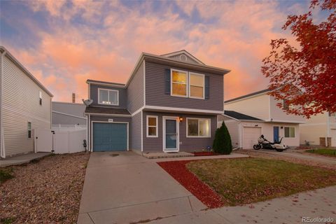4565 Andes Street Denver CO 80249