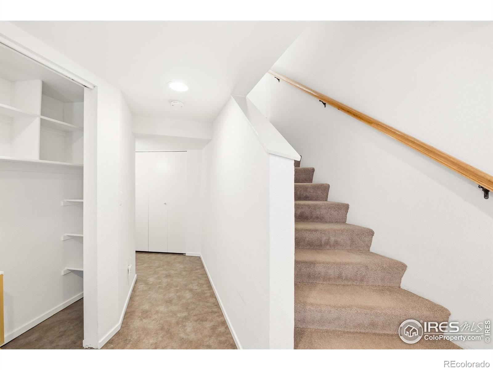 1550 Bluebell Avenue