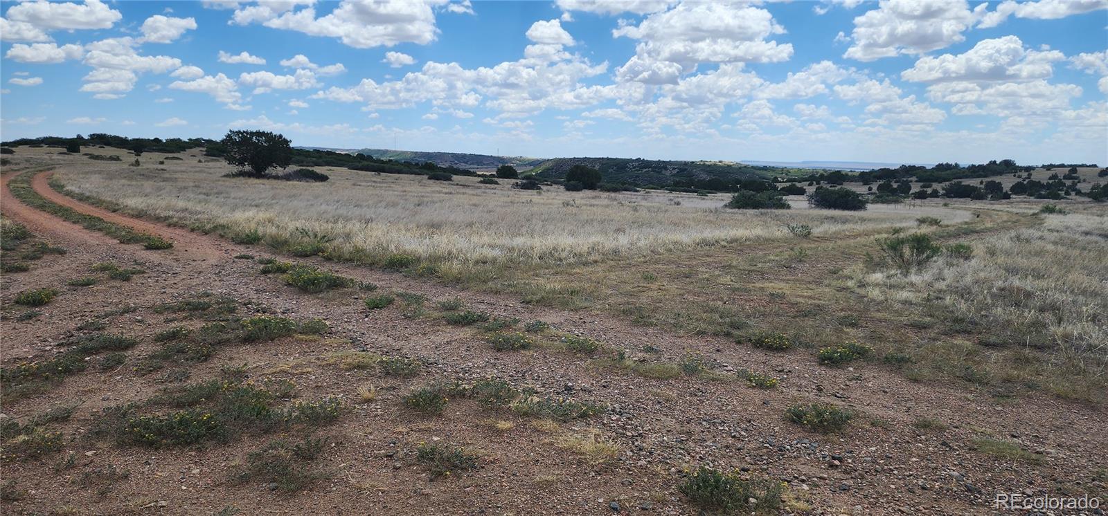 Lot 333 Patsy Circle