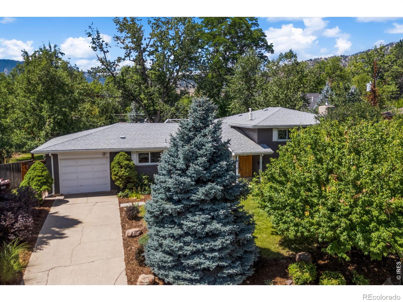 3133 Fern Place