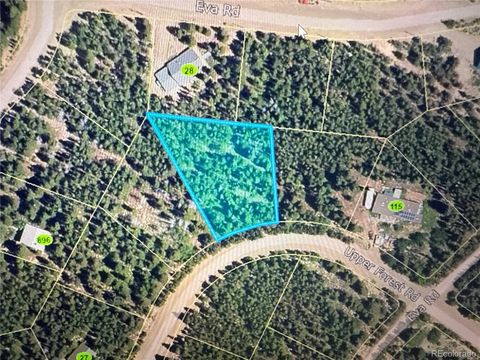 1010 Upper Forest Road Idaho Springs CO 80452