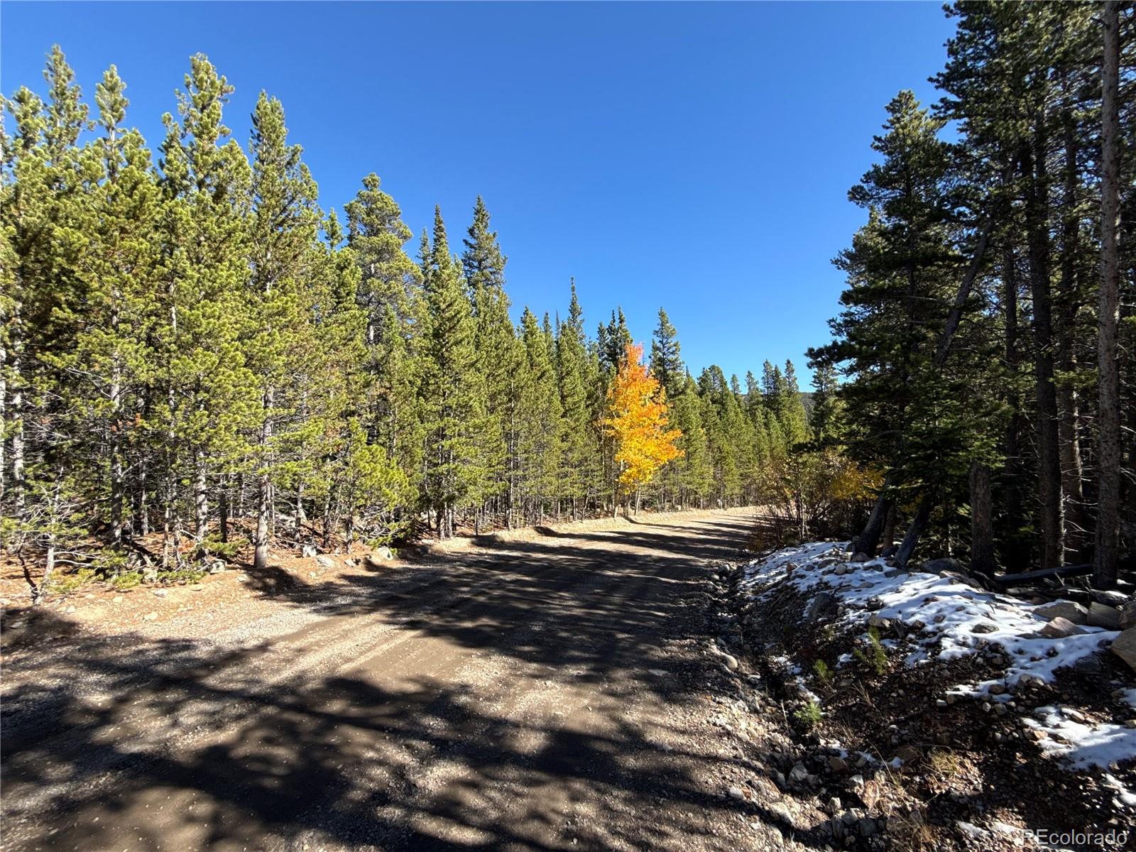 1010 Upper Forest Road