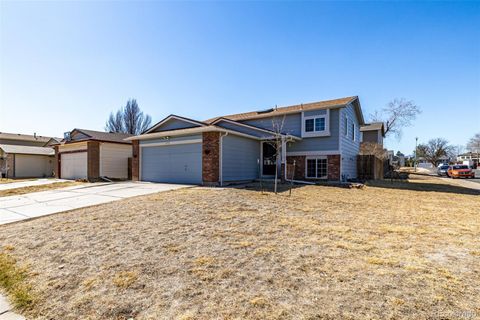 Photo of 6381 Wolff Street, Arvada, CO 80003 (MLS # 3686096)