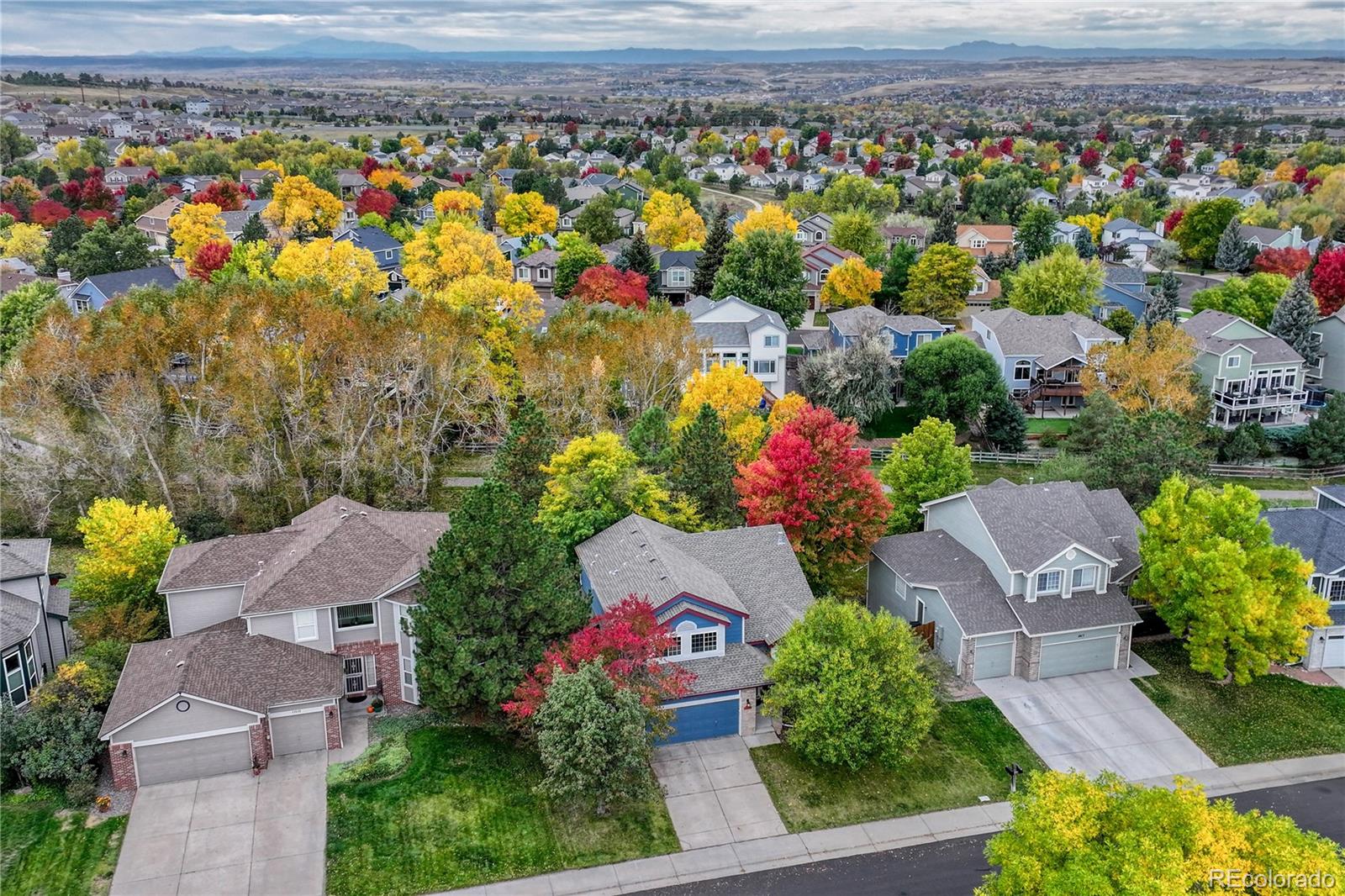 11617 Pine Grove Lane