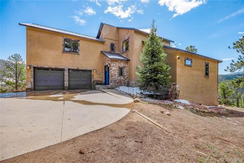 239 Wildlife Point, Divide, CO 80814 - #: 6861730