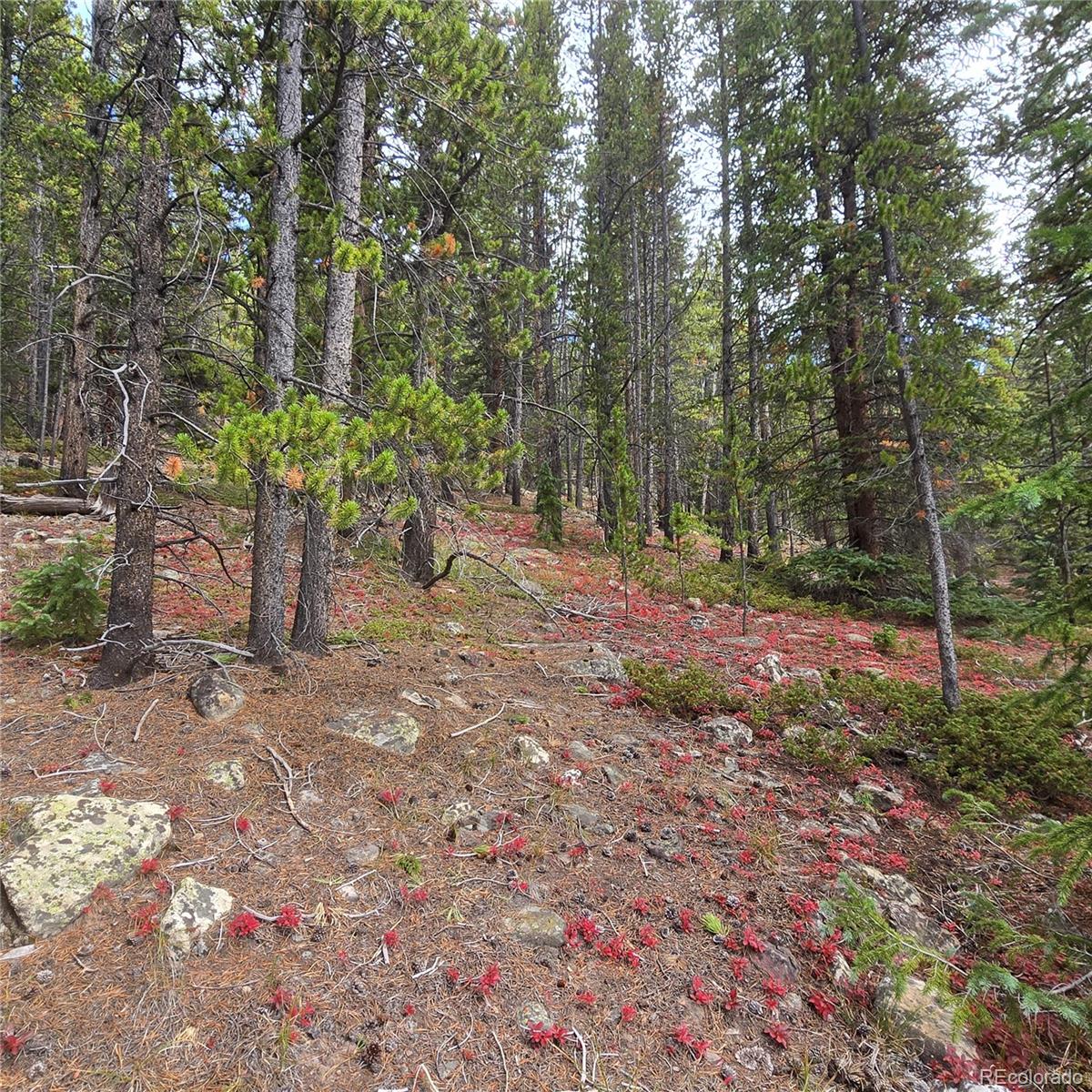 5347 Monitor Lode Claims