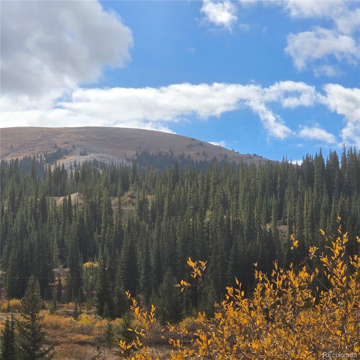 5347 Monitor Lode Claims