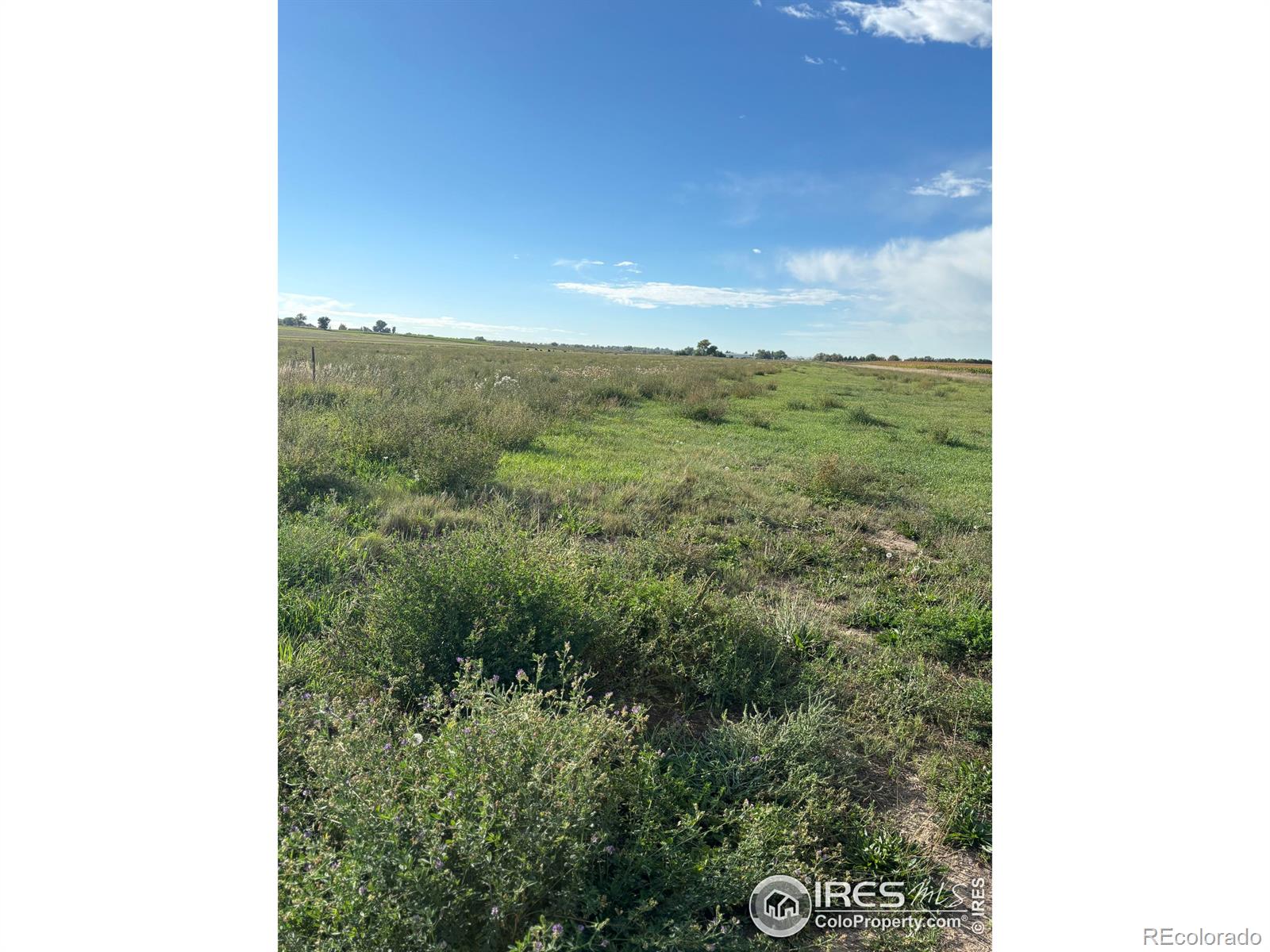 4625 E County Road 54