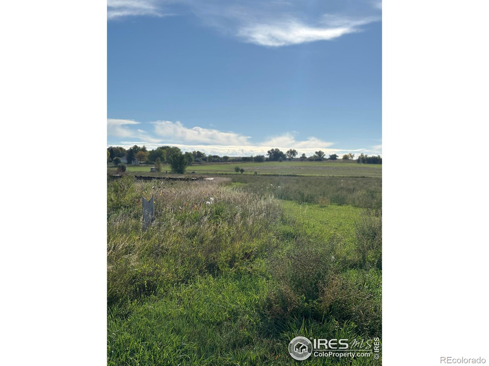 4625 E County Road 54