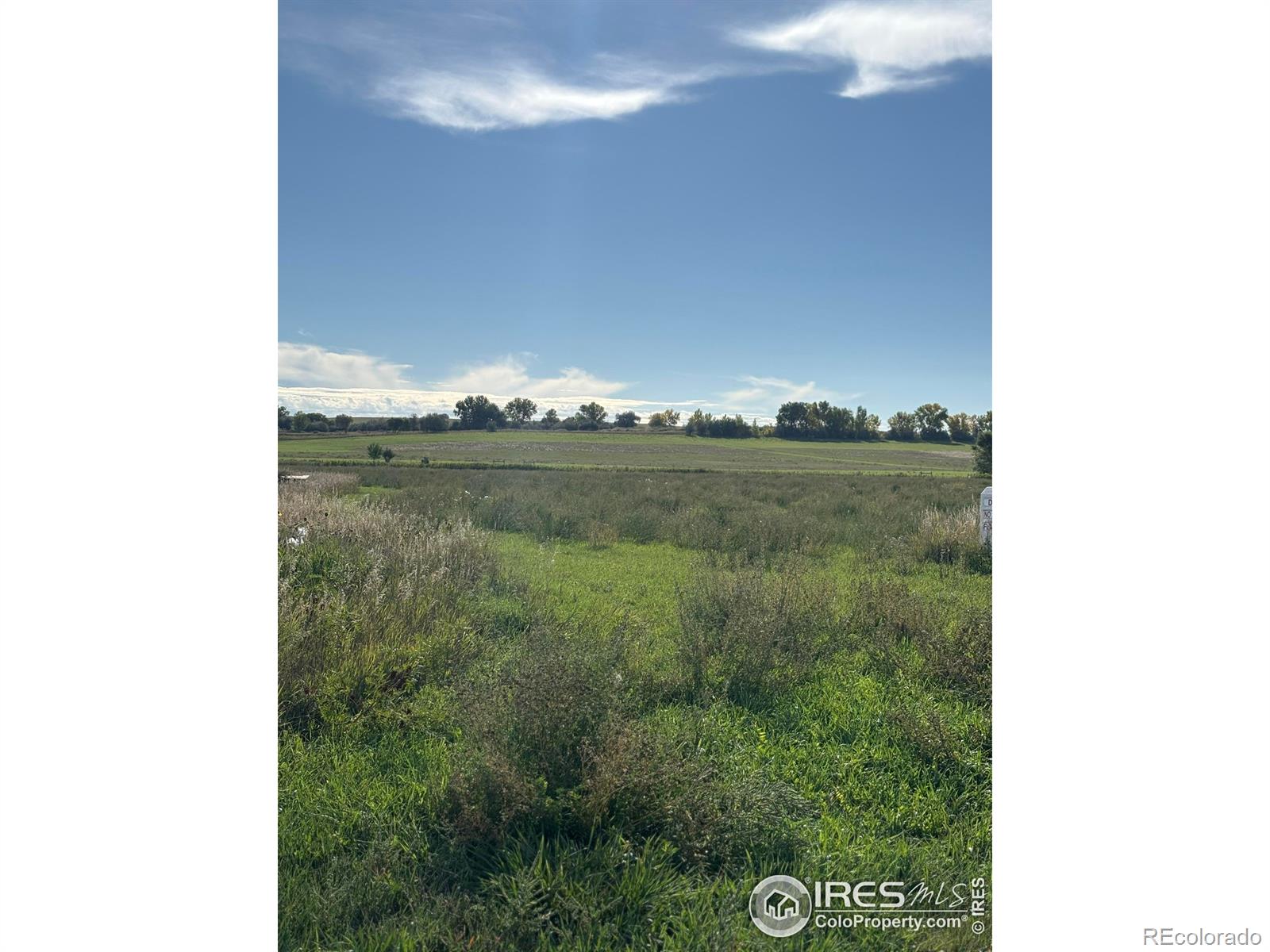 4625 E County Road 54