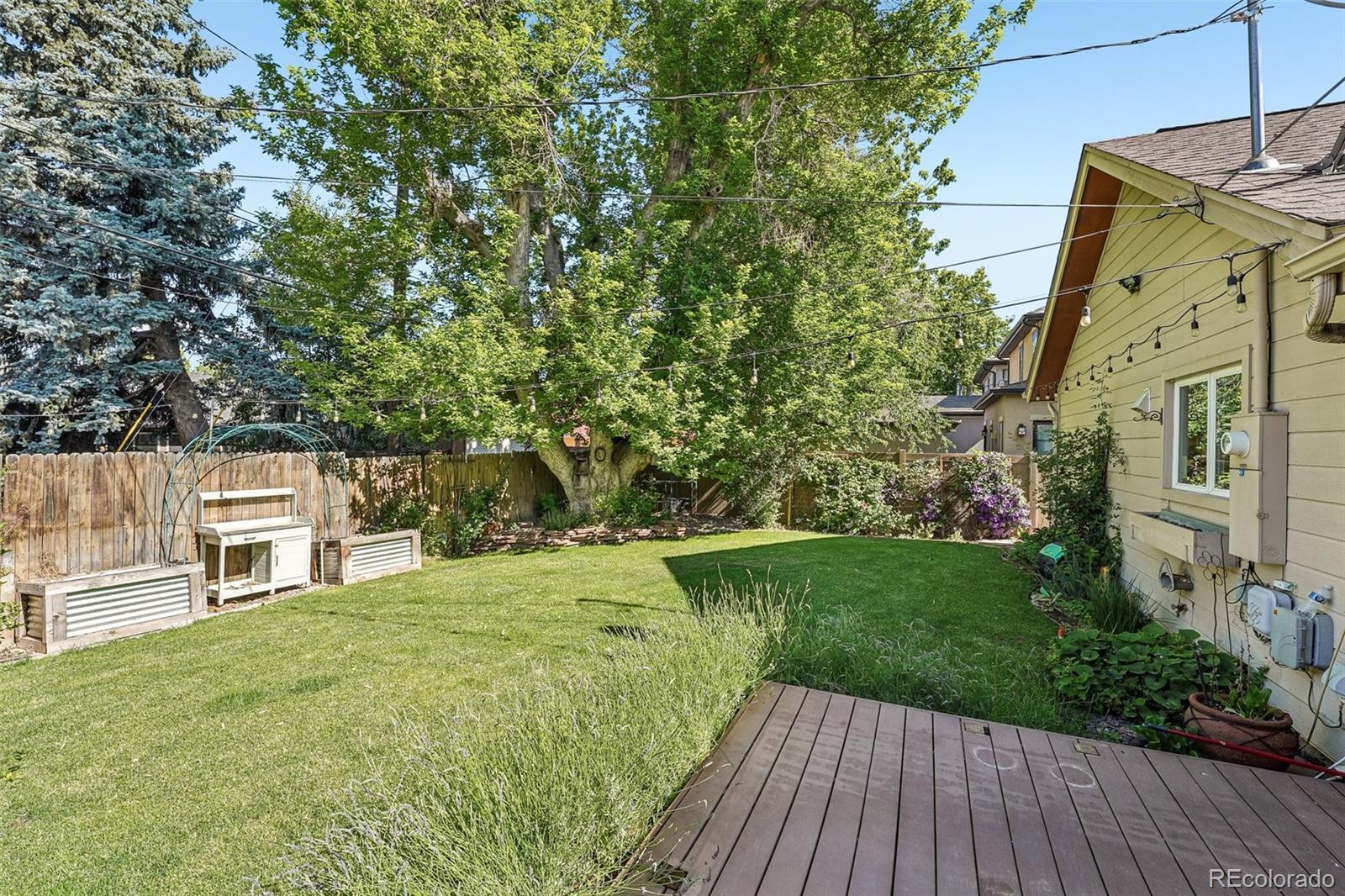 117 Magnolia Street