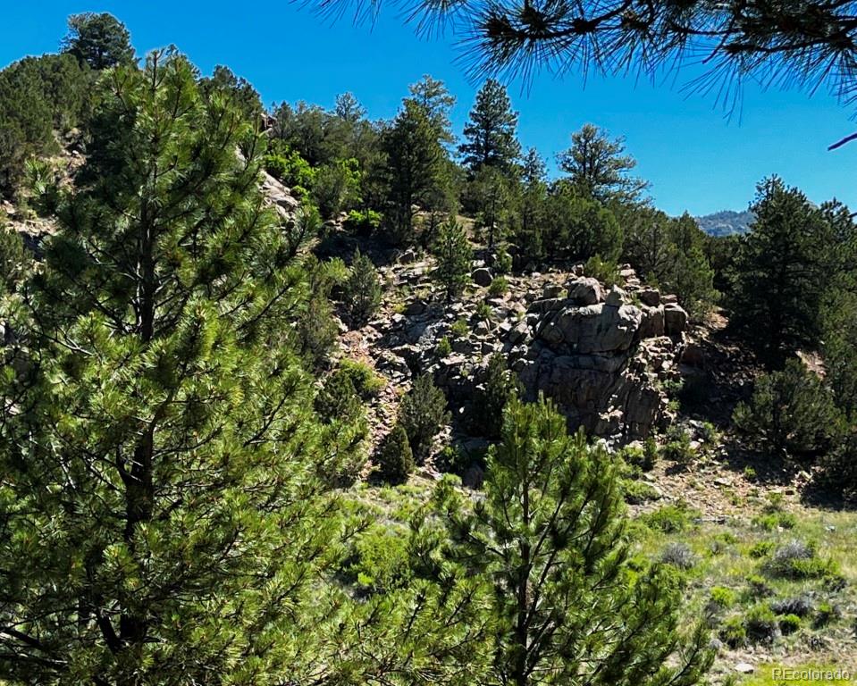 525 Brush Hollow Road