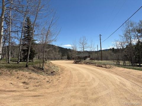 24 Timbertop Road Bailey CO 80421