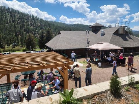 16940 County Road 126 Pine CO 80470