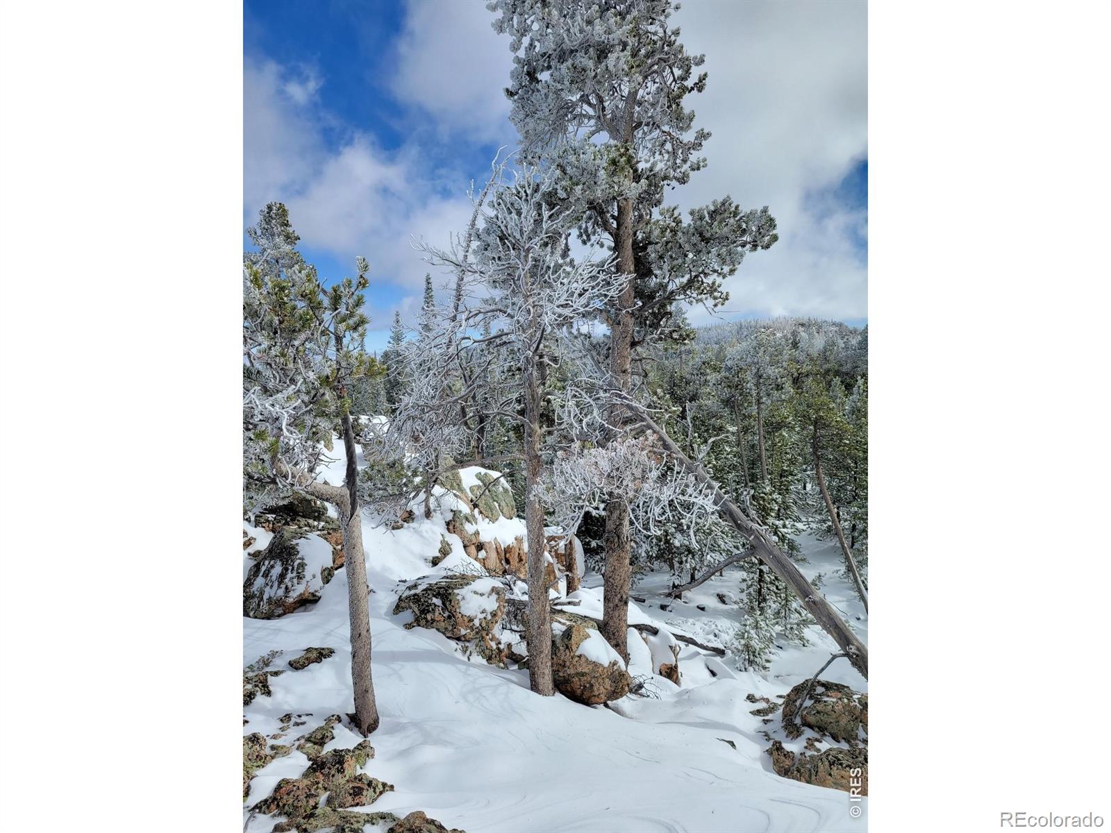 3765 Forest Road 195