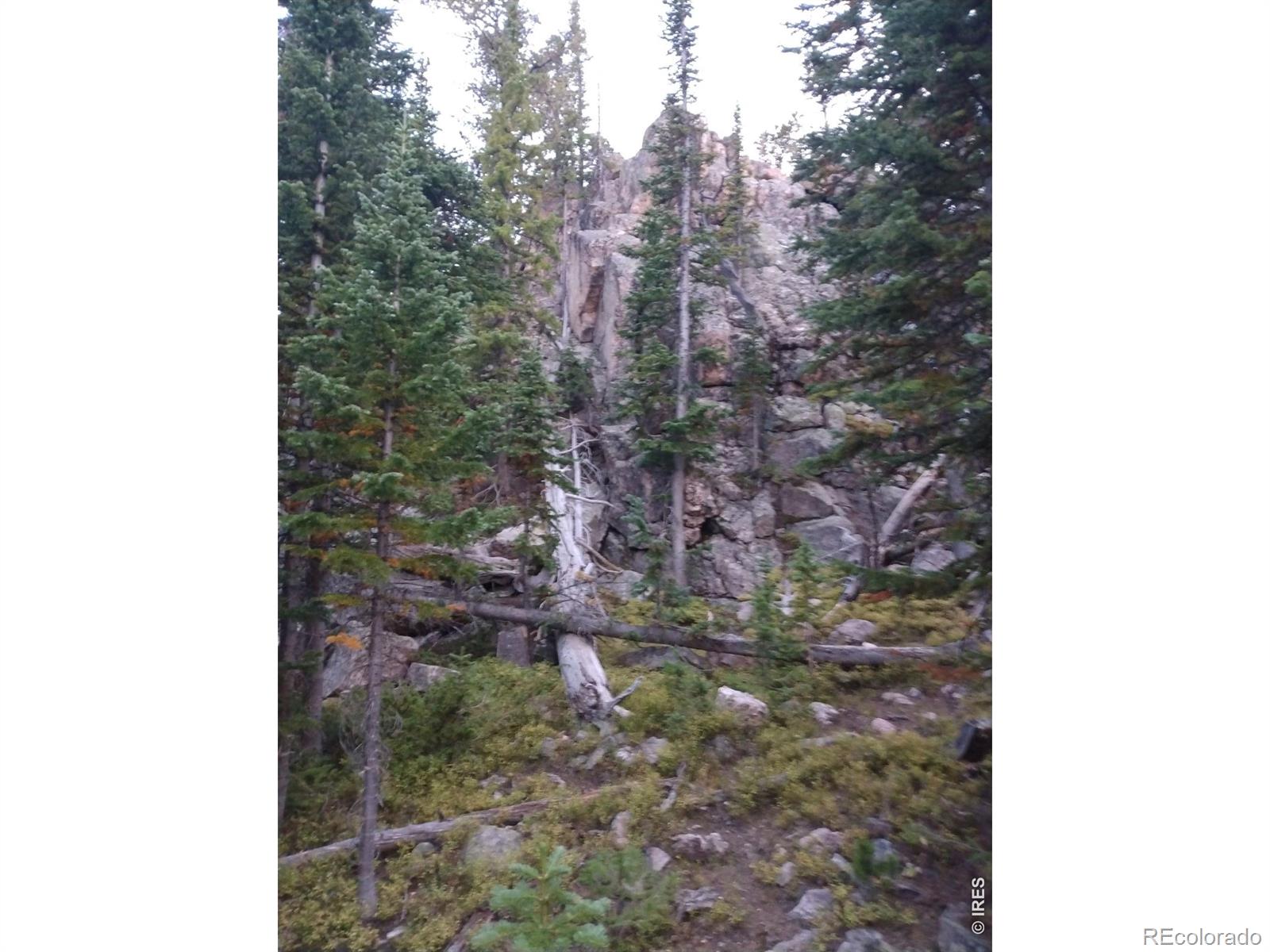 3765 Forest Road 195