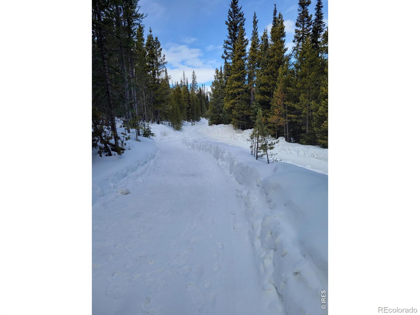 3765 Forest Road 195