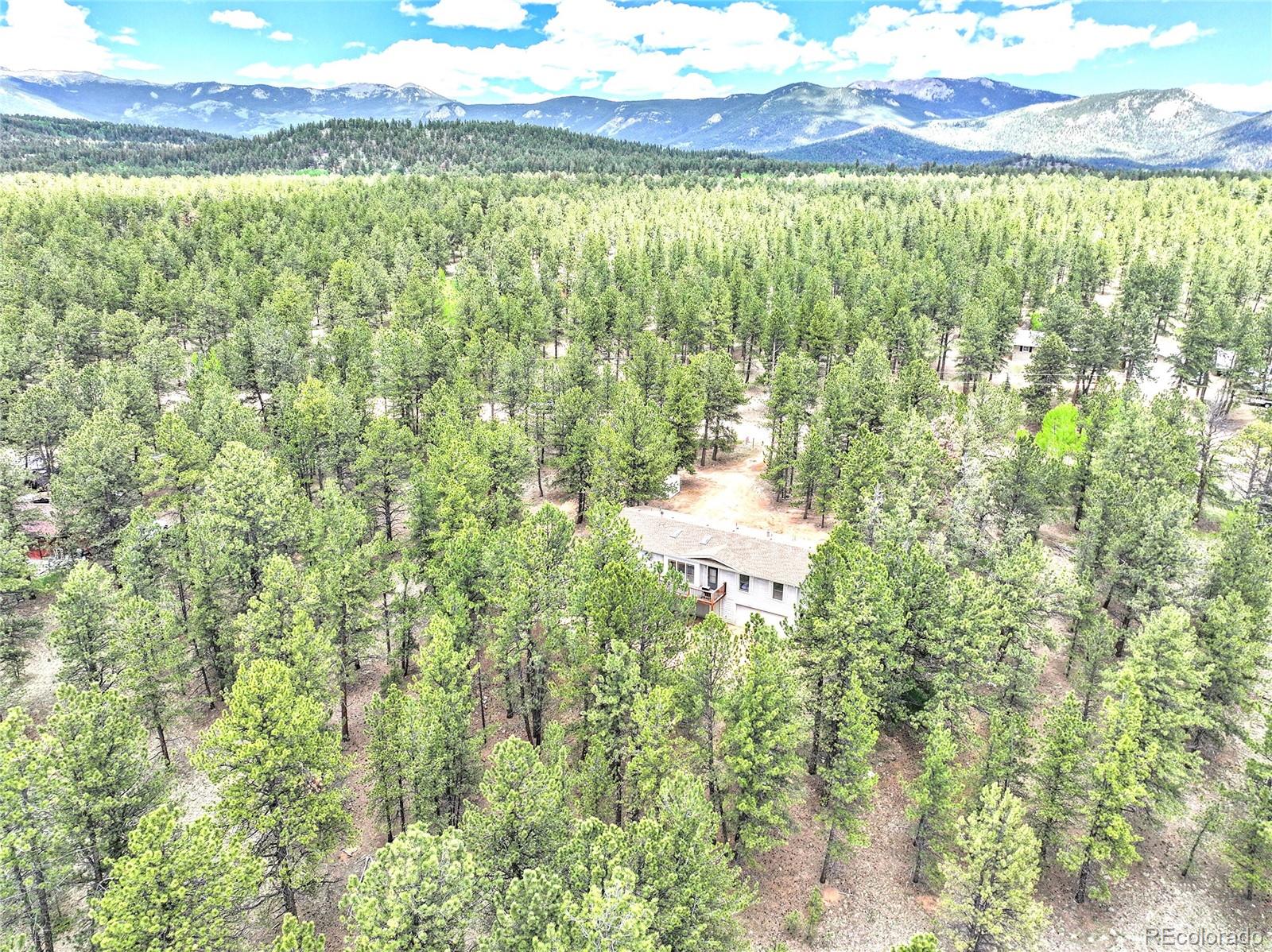 56 Bounty Hunter Lane, Bailey, CO, 80421 4 56 Bounty Hunter Lane