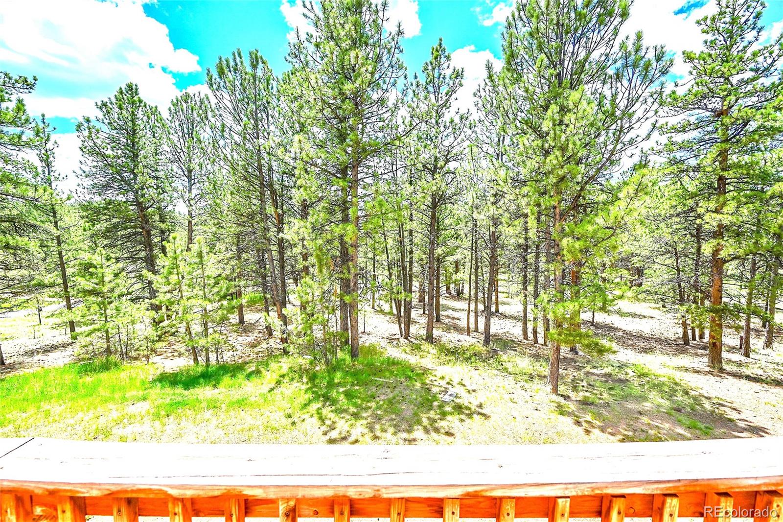 56 Bounty Hunter Lane, Bailey, CO, 80421 3 56 Bounty Hunter Lane