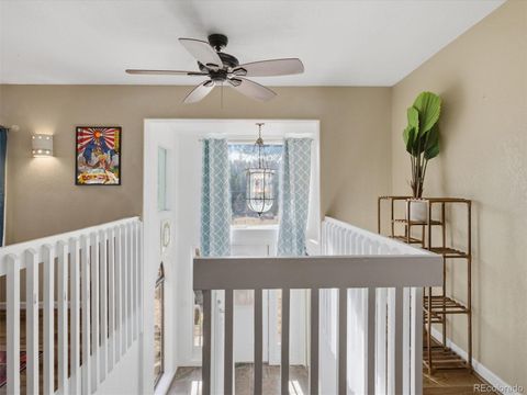 Photo of 209 Pine Drive, Bailey, CO 80421 (MLS # 5200183)